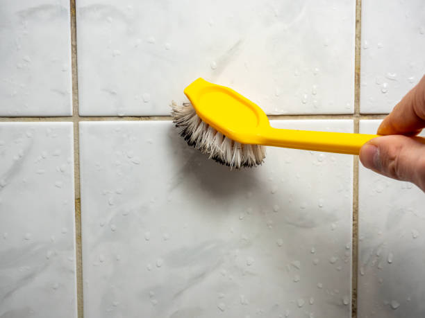 Mold Removal Process in Warrensburg, MO