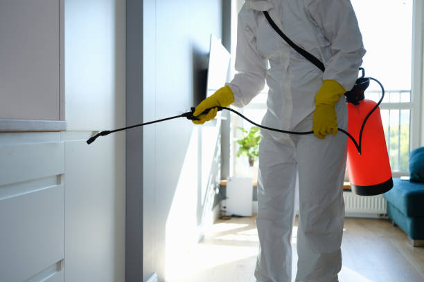 Best Best Mold Removal Companies  in Warrensburg, MO
