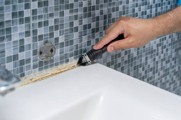 Best Toxic Mold Removal  in Warrensburg, MO