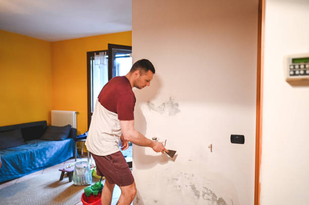 Certified Mold Removal in Warrensburg, MO